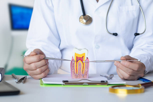 Emergency Dental Filling Replacement in MI